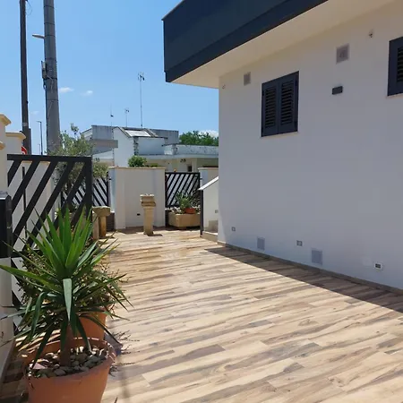 Helianthus Lecce
