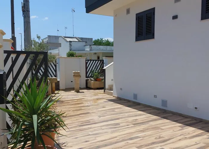 Helianthus Lecce
